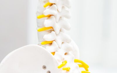How Does The Lumbar Disc Stretch Help Your Lower Back