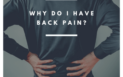 Explain Why I Have Back Pain